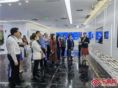 對接創新項目 點贊廈門發展 金磚國家華僑華人有 話 說